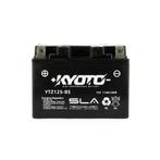 BATTERIE TMAX, Enlèvement, Neuf