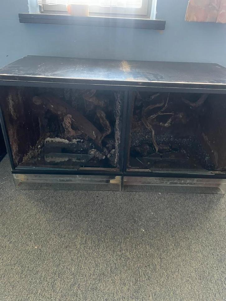 Dubbel terrarium 50x50x50, Dieren en Toebehoren, Reptielen en Amfibieën | Toebehoren, Gebruikt, Terrarium of Paludarium, Ophalen