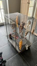 Kooi rat of vogel, Enlèvement, Comme neuf, Cage, Rat