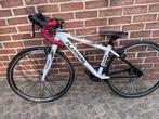 koersfiets, Minder dan 10 versnellingen, Gebruikt, Heren, Aluminium