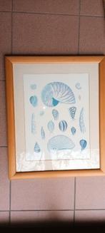 2 houten kaders met schelpen, Huis en Inrichting, Woonaccessoires | Lijsten, Ophalen, Gebruikt, Minder dan 50 cm, 50 tot 75 cm