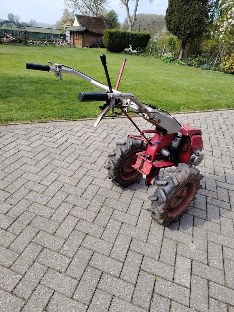 Tuin bv, Enlèvement