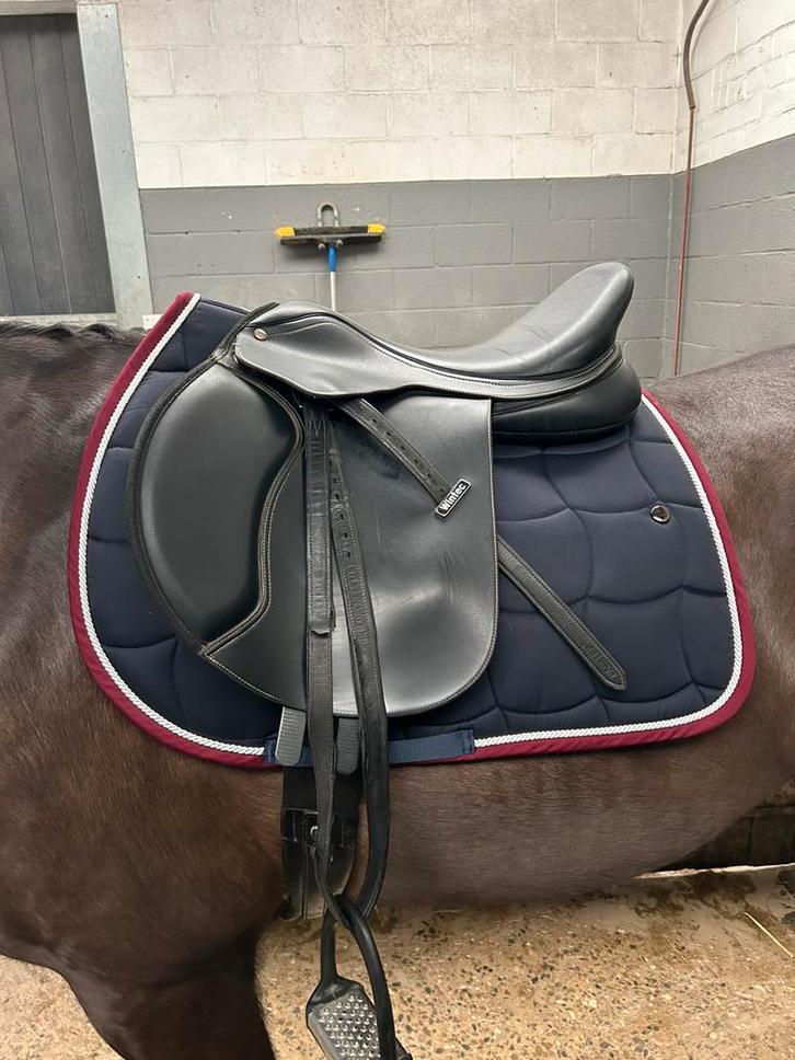zwart springzadel Wintec 500 jump 17,5 inch, Animaux & Accessoires, Chevaux & Poneys | Selles, Utilisé, Obstacle, Enlèvement