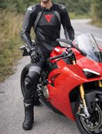 Combinaison DAINESE, DAINESE, Enlèvement, Combinaison, Neuf, sans ticket