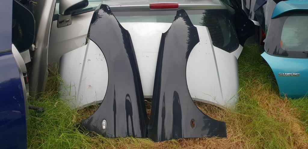 PEUGEOT 206 VOORSCHERMEN CODE EXLD, Auto-onderdelen, Gebruikt, -, -, Ophalen of Verzenden