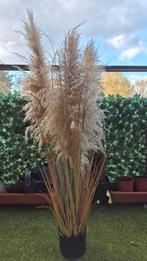 Artificial Pampas Grass in Pot – Boho Home Decor, Ophalen, Gebruikt