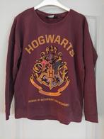 Sweater harry potter 38, Vêtements | Femmes, Enlèvement ou Envoi, Porté, Taille 38/40 (M)