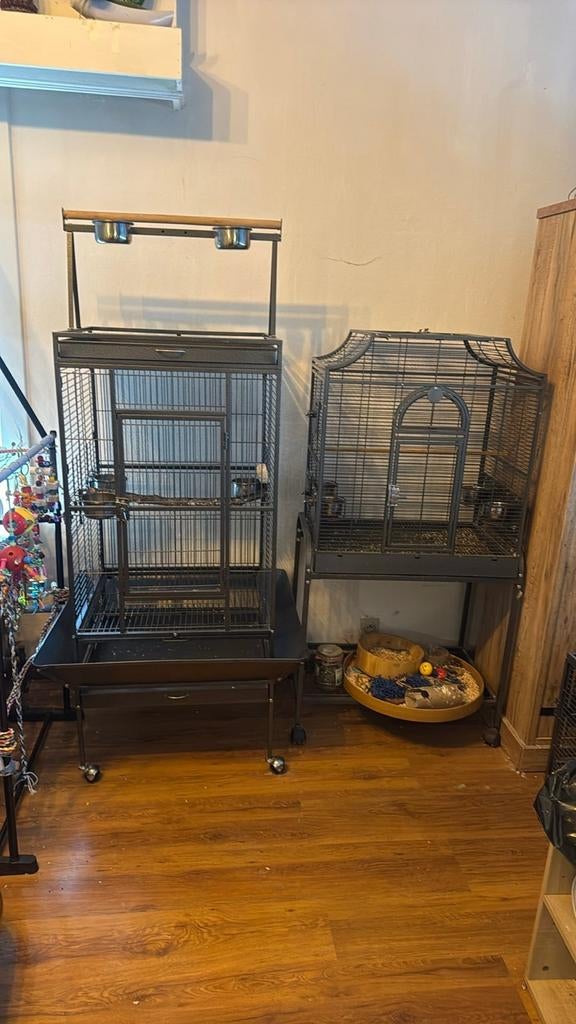 Kooi gezocht, Dieren en Toebehoren, Ophalen of Verzenden