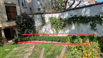 Box Hedge Edge beschikbaar voor biedingen
