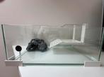 Schildpad aquarium, Dieren en Toebehoren, Ophalen, Zo goed als nieuw, Terrarium of Paludarium