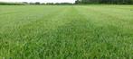 Graszoden op rol, Ophalen of Verzenden, Nieuw