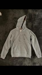 Burberry trui, Kleding | Heren, Truien en Vesten, Ophalen, Maat 48/50 (M), Zo goed als nieuw, Grijs