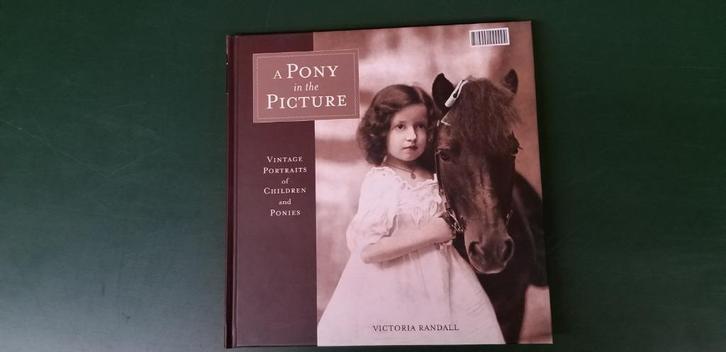 A pony in the picture, Livres, Livres Autre, Comme neuf, Envoi