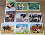 9 stickers: boerderij dieren, Verzamelen, Ophalen of Verzenden, Zo goed als nieuw, Dier en Natuur