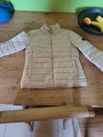 Dames tussen seizoenvestje nieuw maat xs beige, Ophalen of Verzenden, Maat 34 (XS) of kleiner, Beige
