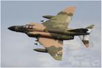 Freewing F4 phantom edf, Ophalen, Zo goed als nieuw, Elektro