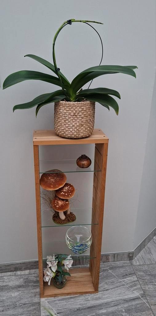 Colonne bois naturel + 5 tablettes en verre réglables, Huis en Inrichting, Woonaccessoires | Zuilen en Pilaren, Zo goed als nieuw