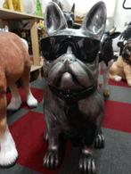 Honden beelden, Ophalen