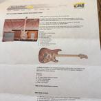 Voor fender liefhebbers, Muziek en Instrumenten, Snaarinstrumenten | Gitaren | Elektrisch, Ophalen, Zo goed als nieuw, Fender