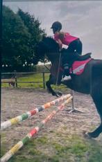 Sponsor gezocht, Dieren en Toebehoren, Pony's