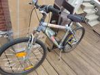 Vélo adultes, Ophalen, Gebruikt, 45 tot 49 cm, Heren