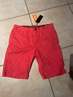 nieuwe short superdry/ waist maat 30, Kleding | Heren, Broeken en Pantalons, Ophalen, SuperDry, Nieuw, Rood