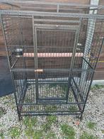 Cage perroquet, Animaux & Accessoires, Comme neuf