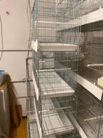 6 kooien van 55 te koop, Ophalen, Zo goed als nieuw, Metaal, Vogelkooi