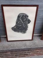 Gravure cocker signe leon danchin, Enlèvement ou Envoi