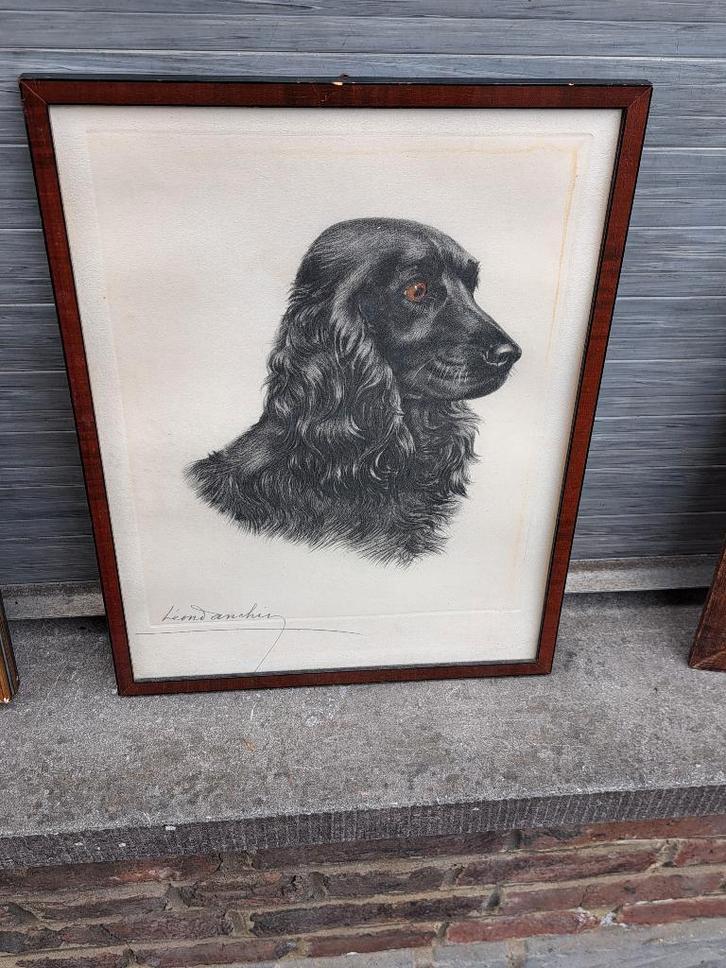 Gravure cocker signe leon danchin, Antiek en Kunst, Kunst | Etsen en Gravures, Ophalen of Verzenden