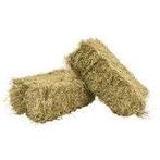 kleine balen hooi, Dieren en Toebehoren, Dierenvoeding, Ophalen