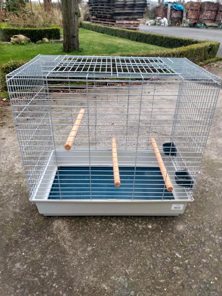 Valkparkietenkooi, Dieren en Toebehoren, Vogels | Hokken en Kooien, Ophalen
