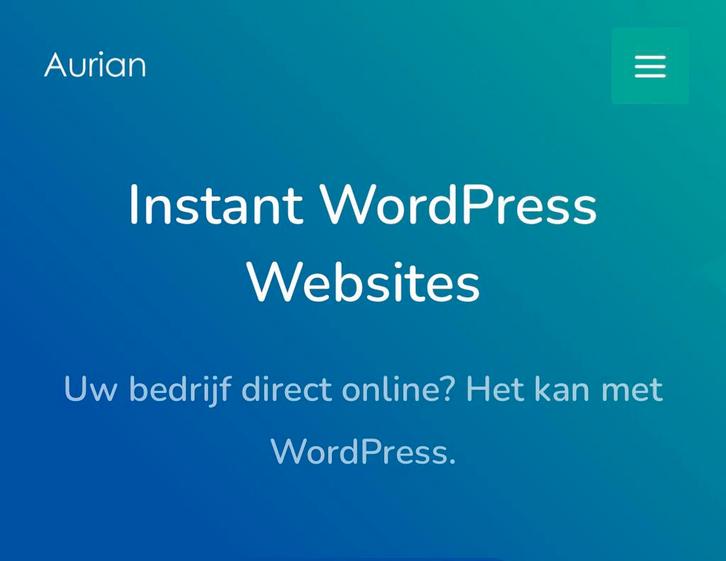 Website nodig? Morgen online(?), Diensten en Vakmensen, Webdesigners en Hosting, Webhosting