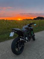 Kawasaki Z650 2024, Motoren, 2 cilinders, Particulier, Naked bike