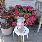 Hobby horses met stok, Ophalen, Zo goed als nieuw