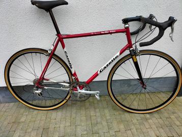 Gazelle Demax Goldline teamfiets beschikbaar voor biedingen