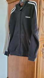 veste fille taille 13/14 ans Adidas à capuche, Enfants & Bébés, Vêtements enfant | Taille 158, Enlèvement ou Envoi, Utilisé, Fille