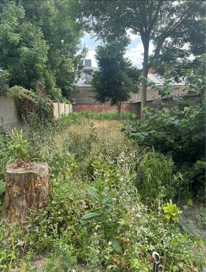 Jardinier paysagiste, Tuin en Terras, Planten | Bomen, Ophalen of Verzenden