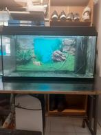 Aquarium 100 l, Dieren en Toebehoren, Ophalen, Gebruikt, Leeg aquarium