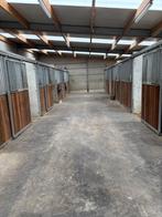 Stallen te huur, Stalling, 2 of 3 paarden of pony's