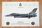 349 Sqn - F-16 D-Day strepen + handtekeningen poster, Verzamelen, Militaria | Algemeen, Verzenden, Luchtmacht, Foto of Poster
