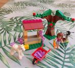 Lego friends pony, Ophalen, Lego