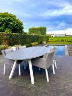 Ovaal tuintafel 240x135, Tuin en Terras, Tuintafels, Ophalen, Zo goed als nieuw, Ovaal