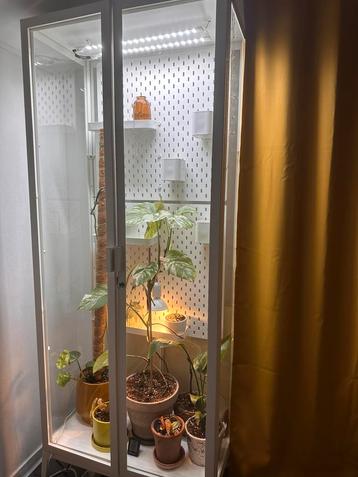 IKEA Milsbo - plantenkast beschikbaar voor biedingen