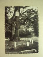 54732 - HOUTHALEN - KELCHTERHOEF - OUDE EIK - ZIE 2 FOTO'S, Verzamelen, Postkaarten | België, Verzenden