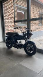 Dax 50 cc a klasse, Motoren, Ophalen, Nieuw