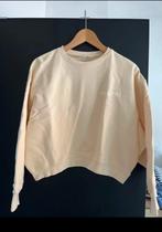 Grace & Mila- sweater XS, Kleding | Dames, Ophalen of Verzenden, Zo goed als nieuw