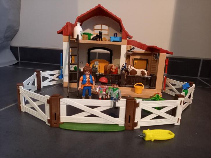 Playmobil feeën, prinsessen, dieren, kamers, Kinderen en Baby's, Speelgoed | Playmobil, Gebruikt, Complete set, Ophalen