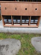 Transportkooi met 4 zangkooien., Dieren en Toebehoren