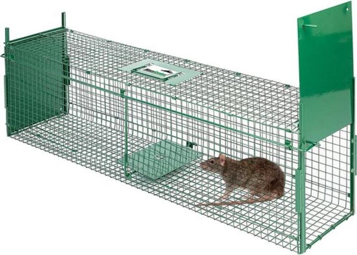 rattenval marterval kattenval meerdere maten, Dieren en Toebehoren, Knaagdieren, Geslacht onbekend, Overige typen